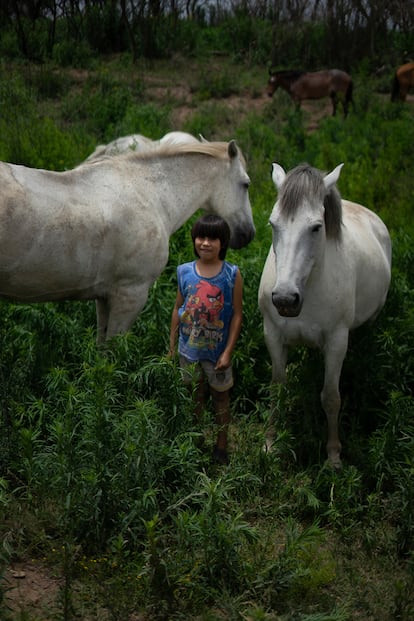 Ciro, de 8 años, vive en el Delta del Paraná, más precisamente en la Boca de la Milonga. Viene de una familia de criadores de caballos salvajes que siguen manteniendo sus conocimientos y costumbres de generación a generación.