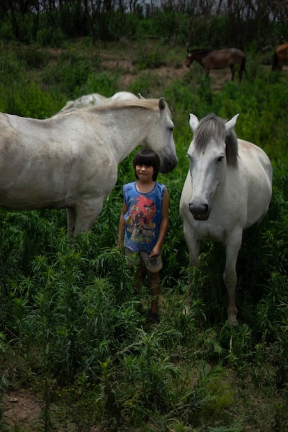 Ciro, de 8 años, vive en el Delta del Paraná, más precisamente en la Boca de la Milonga. Viene de una familia de criadores de caballos salvajes que siguen manteniendo sus conocimientos y costumbres de generación a generación.
