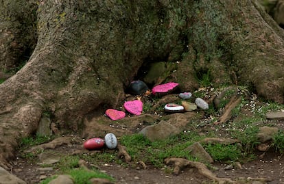 Algunos de los mensajes que han dejado visitantes junto a la base talada del árbol este viernes. 