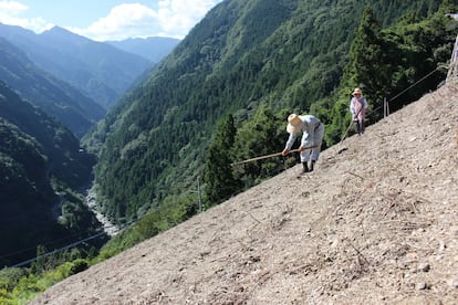 Na área de Nishi-Awa (Japão), os alimentos básicos são cultivados desde a antiguidade. O sistema de manejo da terra recorre às encostas das montanhas, aparentemente inúteis para o cultivo, de maneira versátil. A terra é alocada para o cultivo, para a habitação e para a grama, dependendo da inclinação, e então as encostas são deixadas intactas.