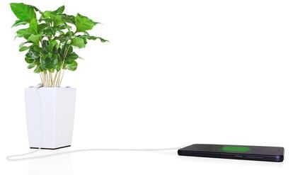 Bioo es una startup española que ha creado unos paneles que generan electricidad a partir del proceso de fotosíntesis de las plantas. Ha ganado el premio en la categoría de Industria & Energía en South Summit, por el desarrollo y distribución de estos paneles que generan electricidad sostenible y competitiva.