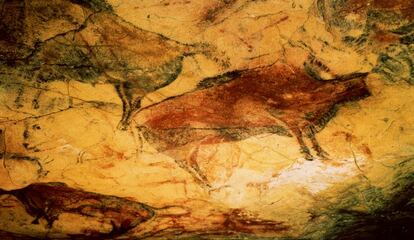 Bisontes de la cueva de Altamira (Santillana del Mar, Cantabria).