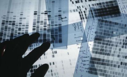 La epigenética supone modificaciones que no afectan a la secuencia del ADN.