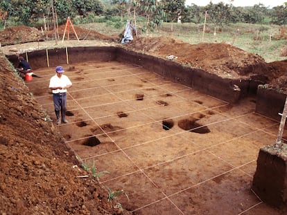 Researchers work on a large-scale archaeological excavation on an earthen platform at the Sangay site in Ecuador’s Upano Valley, Jan. 10, 2024.