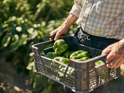 Un agricultor con una caja de pimientos.