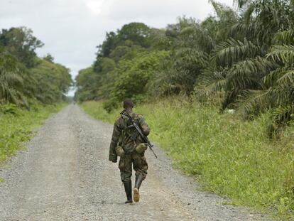 Tierra y sangre en Colombia