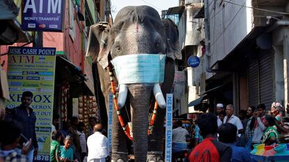 La réplica de elefante con mascarilla que se mueve por las calles de Chennai para concienciar sobre el virus.