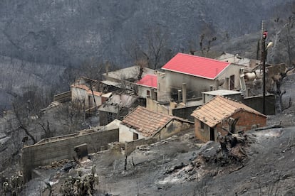Varias casas quemadas por el incendio en Oeud Das, Argelia. 