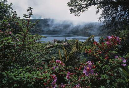 La laguna de Botos rodeada de vegetación junto al volcán de Poas, en Costa Rica.