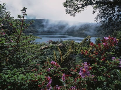 La laguna de Botos rodeada de vegetación junto al volcán de Poas, en Costa Rica.