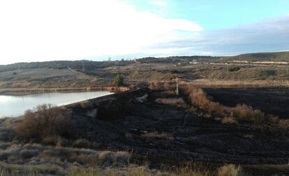 El pasto quemado en la zona protegida del Mar de Ontígola, en Aranjuez.