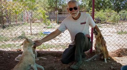 Jim Myers, fundador de Animal Aid, con tres de los perros del centro.