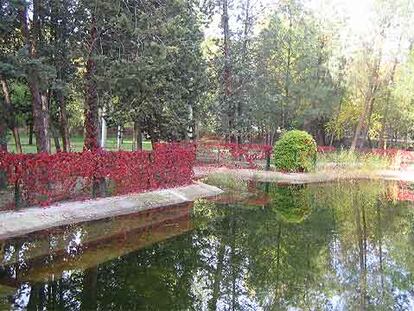 El mesocosmos que reproduce una laguna mediterránea en las instalaciones del INIA en Madrid