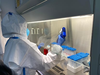 Las PCR, ahora de uso común, fueron posibles gracias al descubrimiento de bacterias resistentes a temperaturas extremas.