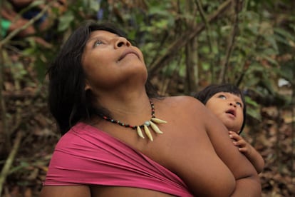 Mujer awá junto a su bebé en la selva amazónica, Brasil. En las sociedades industriales muchas mujeres todavía luchan para que se las trate igual que a los hombres. Sin embargo, para las mujeres de la tribu más amenazada de la Tierra, los awás, la igualdad es una realidad. La vida para estas mujeres transcurre en pacífica simbiosis con la selva. Acogen a las crías huérfanas de los animales que cazan y las amamantan como si fueran parte de la familia. Una vez que una cría es acogida, ya nunca se la comerán. Ahora los awás necesitan apoyo para evitar la destrucción de sus tierras, que los amenaza con la extinción.  
