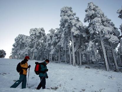 Excursionistas recorren con nieve en otoño el camino Schmidt, que une Cercedilla con Navacerrada, en la Sierra del Guadarrama.