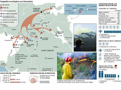Tragedia ecológica en Canarias