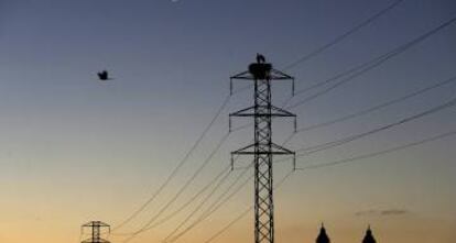 Dos cigüeñas permanecen en el nido de la torre de un tendido eléctrico cercano a la Catedral de Pamplona.