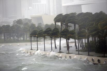 Los olas rompen rompe con fuerza en le dique de la bahía Vizcaína de Miami.