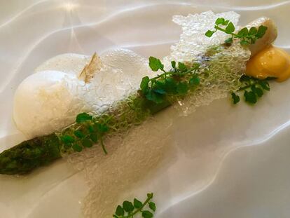 ESPÁRRAGO VERDE, YUZU Y PARMESANO / CAPEL