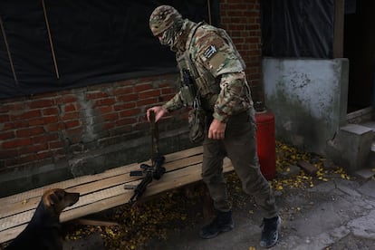 Guerra de Rusia en Ucrania