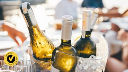 Probamos los mejores enfriadores de botellas. GETTY IMAGES.
