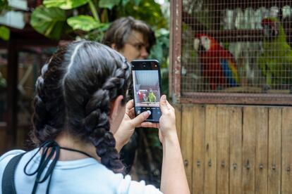 Visita guiada de turisas al Jaguar Rescue Center.