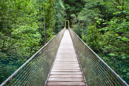 Puente colgante en el Parque Nacional Fragas do Eume.