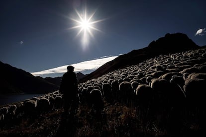 Actualmente quedan unos 1.000 pastores en Francia. Esta vida solitaria todavía atrae a muchos jóvenes que buscan un cambio de vida, pero pocos se quedan más allá de un par de temporadas.