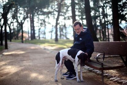 El candidato del Partido Popular a la Presidencia del Gobierno, Mariano Rajoy, pasea junto a su perro por los jardines del Palacio de La Moncloa.
