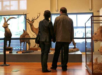 Una sala de exposición del Museo Nacional de Ciencias Naturales.