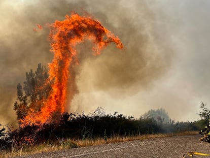 Un bombero durante las labores de extinción de un incendio junto a la carretera N-120 en A Cañiza (Pontevedra) el pasado 31 de julio.