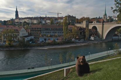 El oso es el símbolo de Berna. Las leyendas cuentan que el duque fundador de la ciudad decidió ponerle el nombre del primer animal que cazara. Leyenda o no, el parque de los osos, el Bärenpark, es uno de los lugares más populares para los berneses.