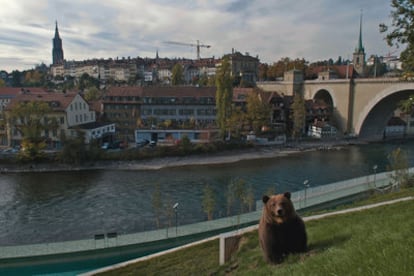 El oso es el símbolo de Berna. Las leyendas cuentan que el duque fundador de la ciudad decidió ponerle el nombre del primer animal que cazara. Leyenda o no, el parque de los osos, el Bärenpark, es uno de los lugares más populares para los berneses.