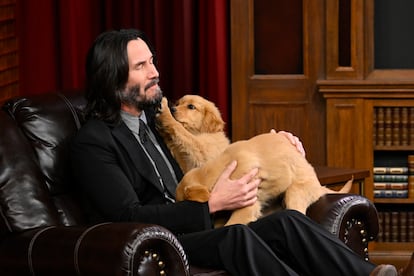 Keanu Reeves con un perro en el programa de Jimmy Fallon en 2023.