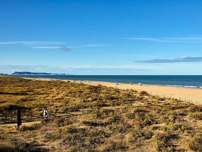 La playa de l'Ahuir en Gandia es uno de los arenales con nueva bandera azul. La Comunidad Valenciana es la región española con más distintivos este 2022.