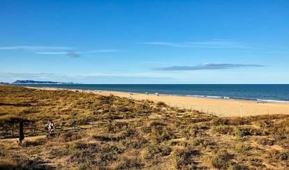 La playa de l'Ahuir en Gandia es uno de los arenales con nueva bandera azul. La Comunidad Valenciana es la región española con más distintivos este 2022.