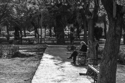 Una siria aprovecha el buen tiempo en soledad para disfrutar de un libro a la sombra de un árbol en un parque público de Damasco.
