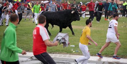 El astado durante el encierro por las calles de Tordesillas.