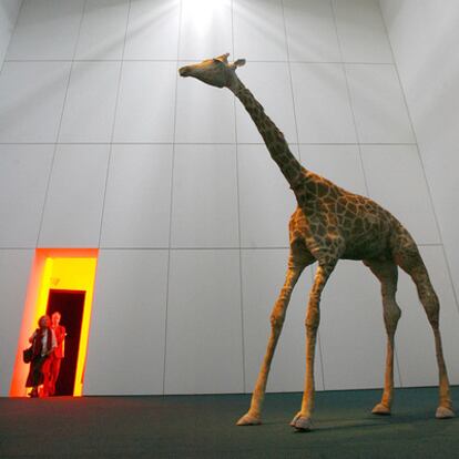 Jirafa disecada por el artista Peter Friedl para la última Documenta de Kassel, celebrada en 2007. Este año, la edición número 13 tendrá lugar entre junio y septiembre.