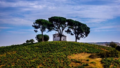 Rodeada de viñedos, Villafranca del Bierzo es la capital histórica de la comarca leonesa, famosa por sus vinos.