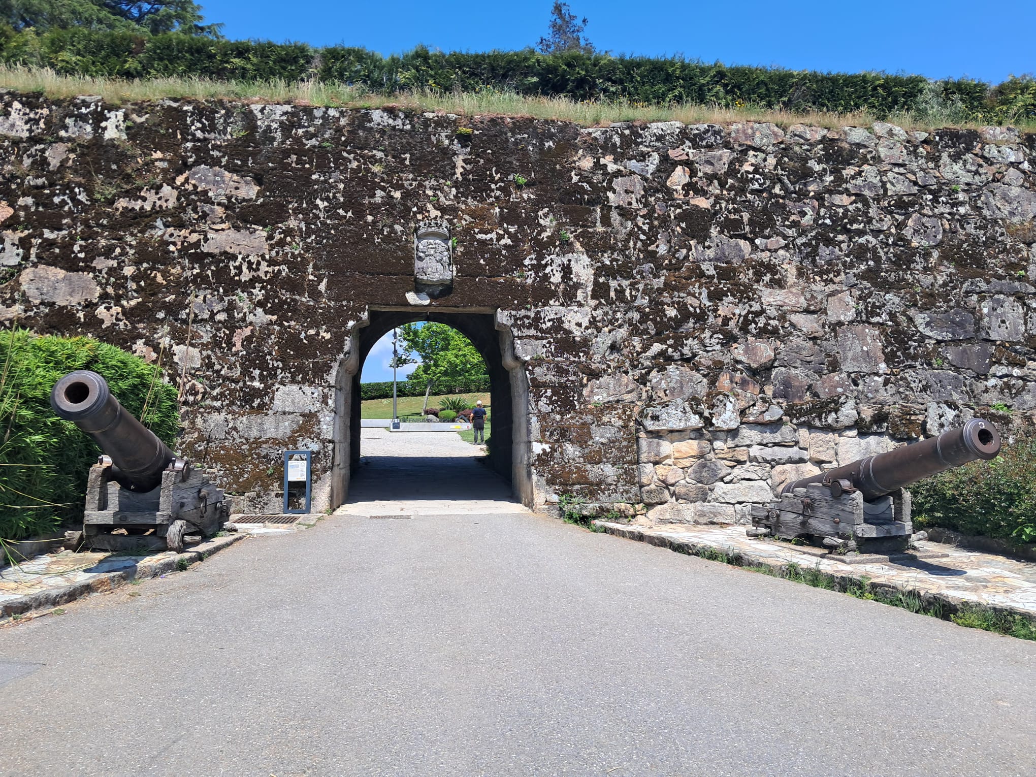 Cañones rusos en O Castro de Vigo.