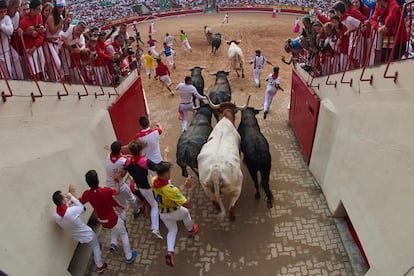 La manada de la ganadería Miura hace su entrada en la plaza de toros de Pamplona, este lunes. 