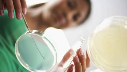Una joven investigadora realiza una técnica de cultivo celular en un laboratorio.
