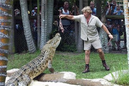 Steve Irvin alimenta a un cocodrilo durante una exhibición en febrero de 2002.