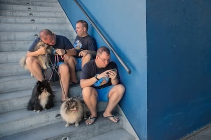 Jaime, Álvaro y Alejandro juegan con sus perros de raza pomerania, que cría su madre.