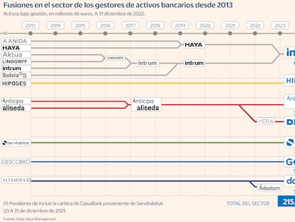 Fusiones en el sector de los gestores de activos bancarios desde 2013 Gráfico