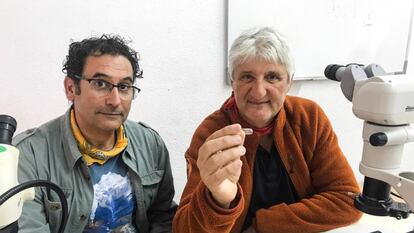 César Laplana y Enrique Baquedano con el molar de 'Mimomys savini'. 