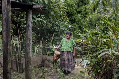 Carmen Xol Maquín madre de Bernardo Caal: “Mi hijo está preso en la cárcel por denunciar que las hidroeléctricas eran un desastre para estos ríos. Ahora ya es visible la destrucción que nos han traído a nuestras casas, nuestros cultivos de cardamomo están destrozados. Aquí no hay víctimas mortales, que sepamos, pero las pérdidas son terribles”.