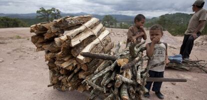 Una familia hondure&ntilde;a carga le&ntilde;a para cocinar en fog&oacute;n.